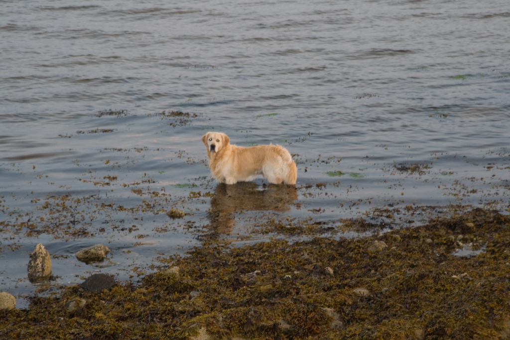 photographybyduncanholmes_2707131039_Burghead (89 of 108).jpg